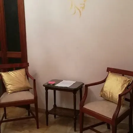 Golden Lion Penthouse 公寓 罗马